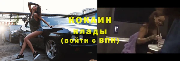 трава Инсар