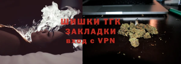 дживик Каменногорск