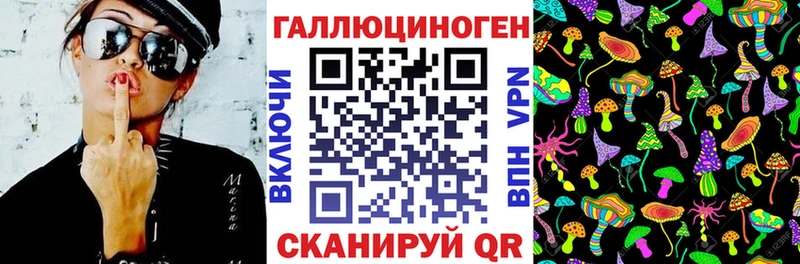 Купить  Лесосибирск  Галлюциногенные грибы MAGIC MUSHROOMS 