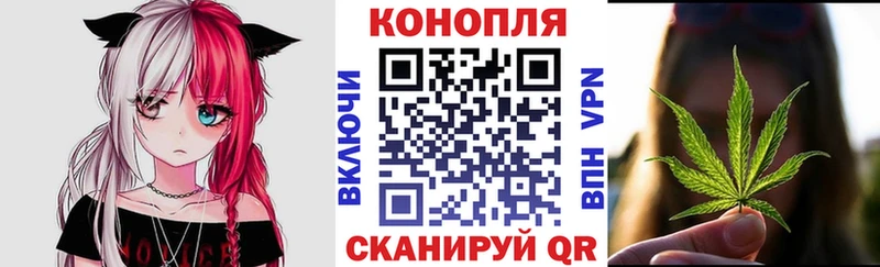 Бошки Шишки семена  Купить где  Лесосибирск 